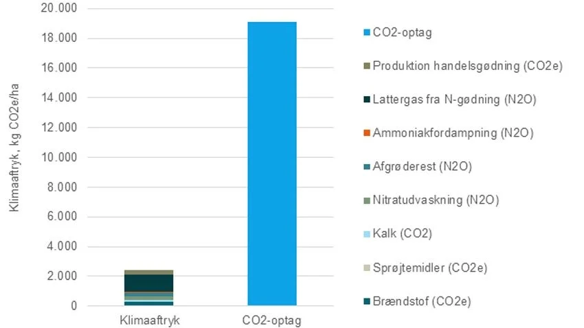 Eksempel på klimaaftryk og CO2-optag i kerne + halm i vinterhvede ved et udbytte på 88 hkg pr. ha. - Et højt udbytte er afgørende for at opnå et lavt klimaaftryk pr. produkt og dermed en klimaeffektiv produktion, påpeger Seges, der har lavet beregningen.
