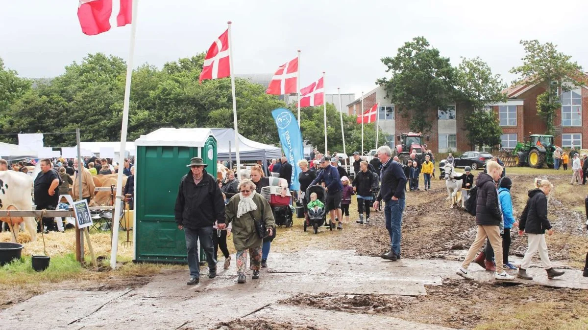 Ribe Dyrskue blev som det eneste dyrskue i LandbrugSyd´s udgivelsesområde gennemført jfr. de gældende corona-restriktioner den sidste fredag i juli. Det var dog heller ikke corona, men vand – ikke fra oven – men fra den nærliggende å, der voldte store problemer på dagen. Foto: John Ankersen