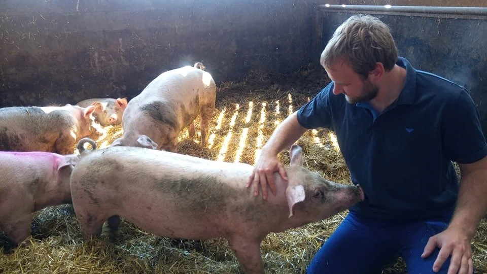 Niels Nørgaard er i færd med at overtage sin fødegård Visgård, hvor man har mere end 1300 søer og 24.000 slagtesvin. Fra årsskiftet overtager han halvdelen af gården. Foto: Niels Nørgaard