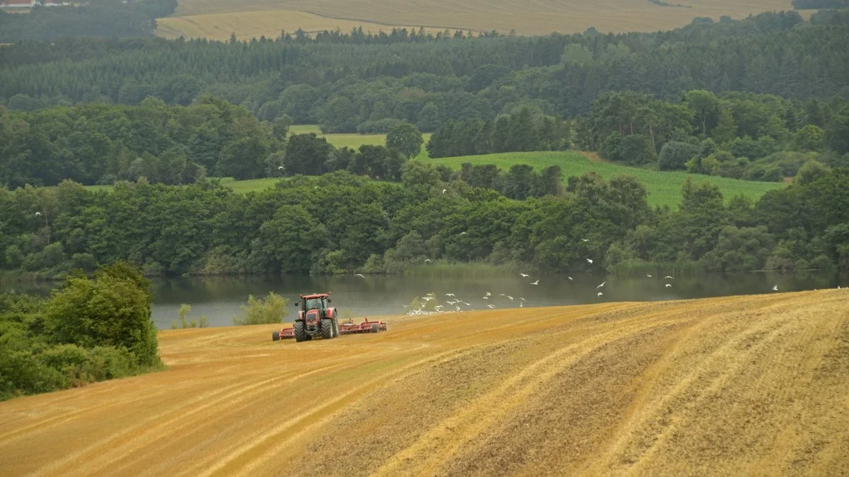 Ved at forbedre dyrkningssikkerheden på den enkelte mark, går landmandens økonomi og klimaet hånd i hånd. Det handler i bund og grund om at få større udbytter på den samme hektar uden at give et større input, dvs. uden at tilføre ekstra næringsstoffer, planteværn, gødning og traktortimer.