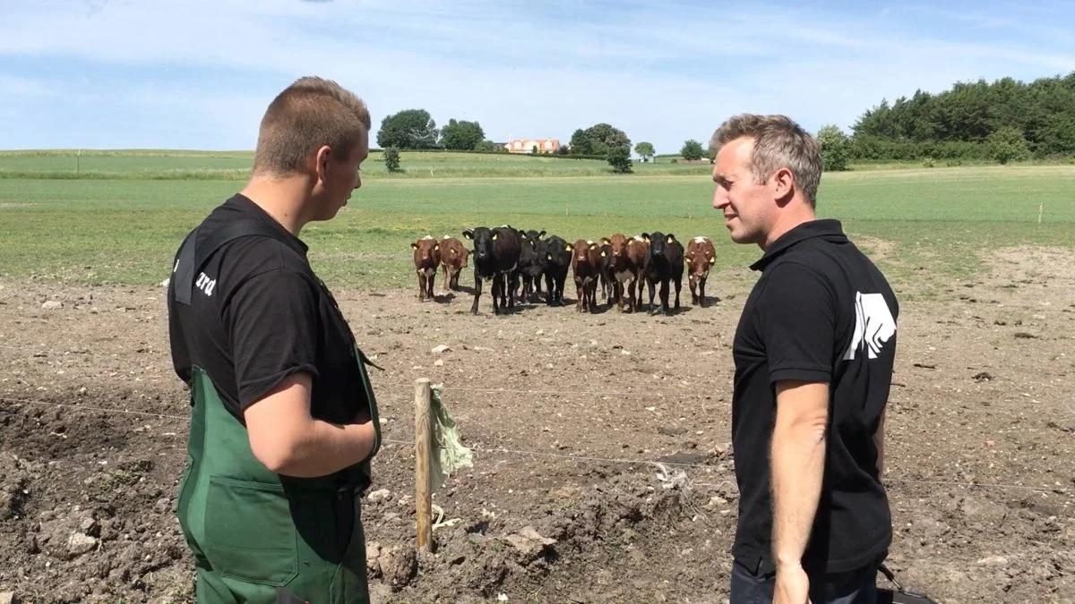 - Eleverne kommer ikke længere af sig selv. De har rigtig mange muligheder for at komme i praktik både herhjemme og i udlandet. Landmændene skal selv gøre en indsats og være med til at gøre sig attraktive, siger praktikvejleder Kasper Hansen fra Dalum Landbrugsskole, der her ses sammen med en elev.