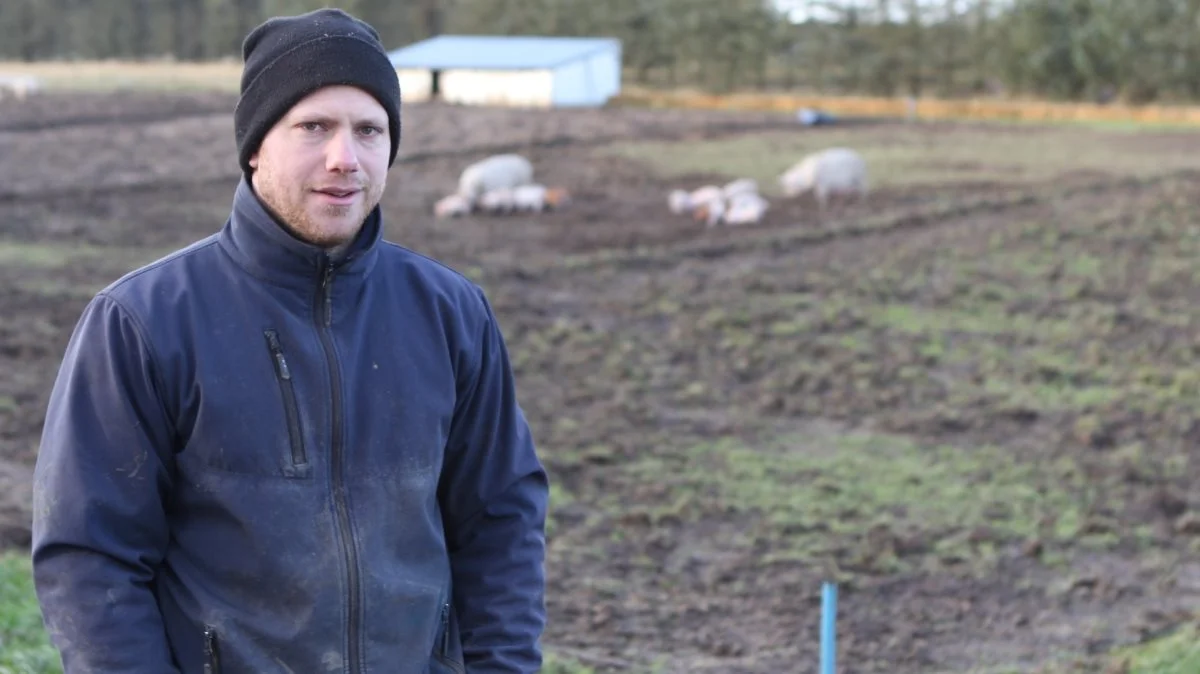 I 2017 valgte Niels Therkildsen at skifte sin livslange passion for køer ud med et liv som producent af økologiske frilandsgrise ved Hundelev nær Løkken.