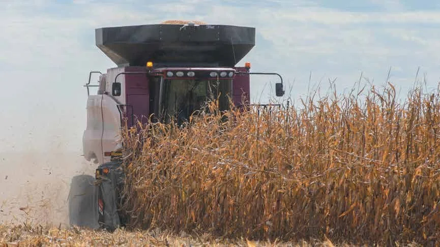 Fra begyndelse af næste år tilbydes MacDon-sejlskæreborde på Case IH Axial-Flow-mejetærskerne.
