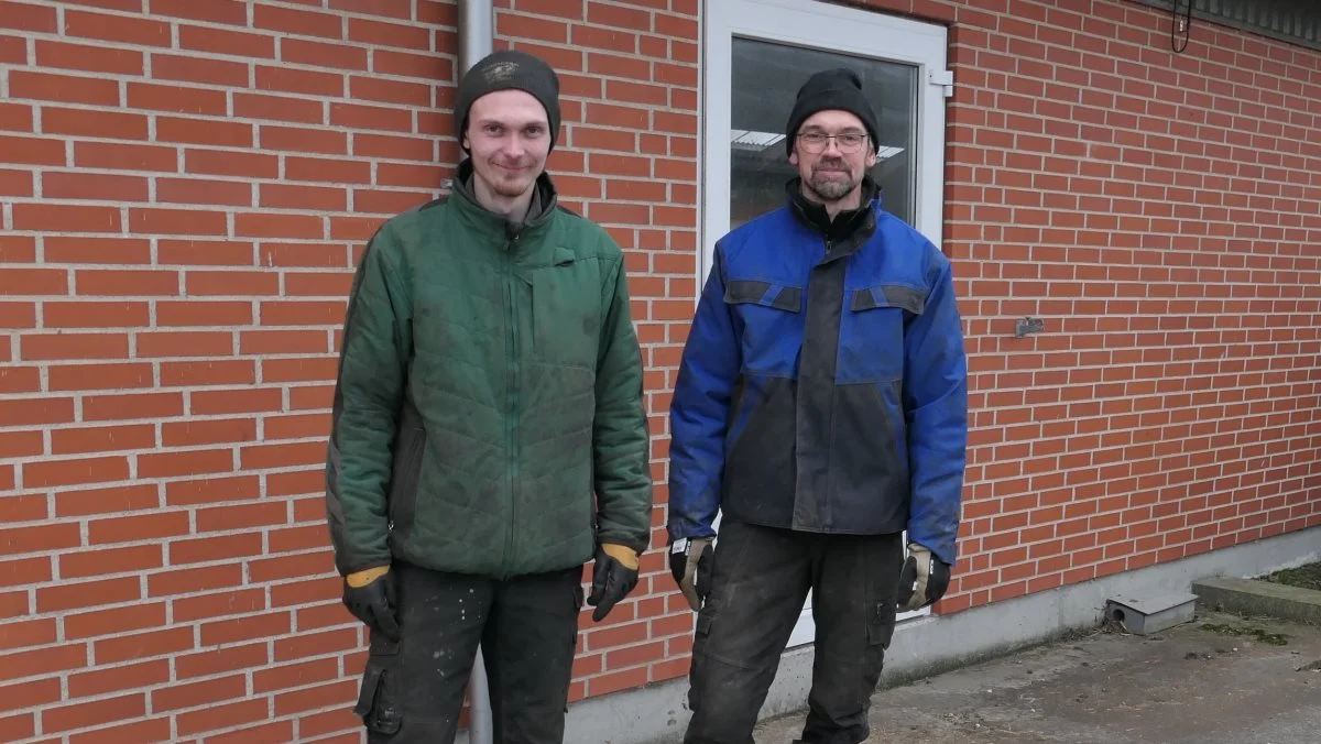 Martin på 24 og faderen Thorbjørn Tjell på 52 er begge førstegangsetablerede i et fælles I/S. Dette er den sidste af en artikelserie i Effektivt Landbrug om de første halvandet år som nyetablerede på bedriften Bundgård mellem Hadsund og Øster Hurup i Østhimmerland. Fotos: Bøje Østerlund.