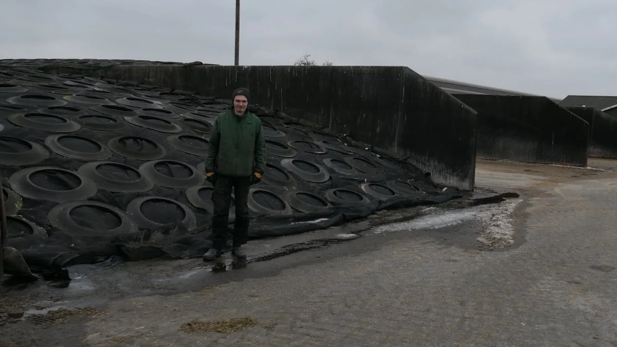 De velproportionerede køresiloer på Bundgård har en tilpas bredde, der sikrer en god fremdrift hver dag. 
- Hidtil har vi ikke haft problemer med varmedannelse, siger Martin Tjell. 