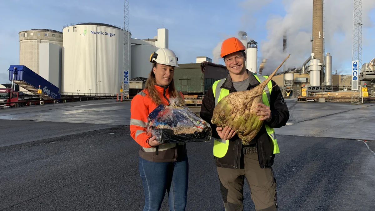 Roedyrker Anders Juszczyk viser årets største roe ved indleveringen på Nakskov Sukkerfabrik. Foto Nordic Sugar