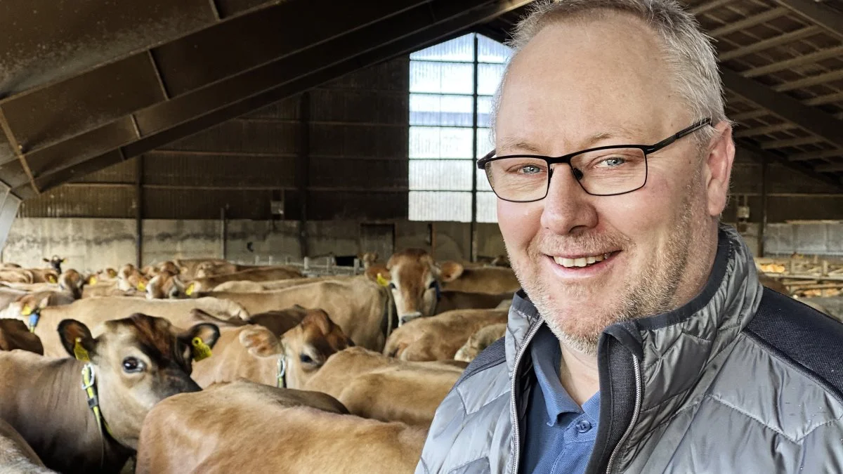 Der er ikke fordele nok for Viking ved at indgå en fusion med tyske Masterrind og franske Innoval (tidligere Evolution). Nu er det vigtigste de danske kvægbrugere, siger VikingDanmarks bestyrelsesformand Anders Levring.