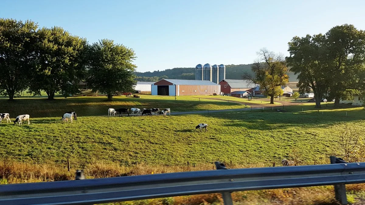 DLF får med købet af La Crosse Seed tilført et stærkt distributionsnet i staterne omkring den store nordamerikanske sø Lake Michigan, der er centrum for den græs- og lucernebaserede del af den amerikanske mælkeproduktion. La Crosse Seed afsætter omkring 75 procent af sine produkter i staterne, Iowa, Minnesota, Michigan, Indiana og Wisconsin, hvor dette billede stammer fra. Foto: Jacob Lund-Larsen