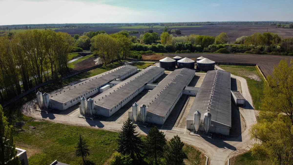 Der var grund til glæde hos FirstFarms over sidste regnskabså, der viste en indtjening på 100 millioner kroner. 