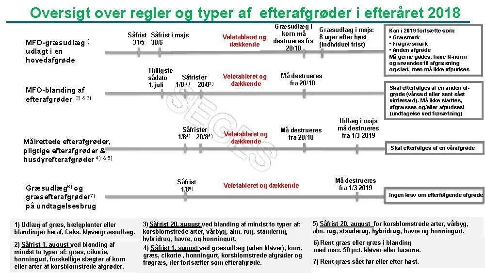 Overblik over de gældende regler for de fem efterafgrødetyper: MFO-afgrøder, frivillige målrettede efterafgrøder, pligtige efterafgrøder, husdyrefterafgrøder og græsudlæg på undtagelsesbrug. Husdyrefterafgrøder følger reglerne for pligtige efterafgrøder. (Kilde Landbrugsinfo, Seges) 