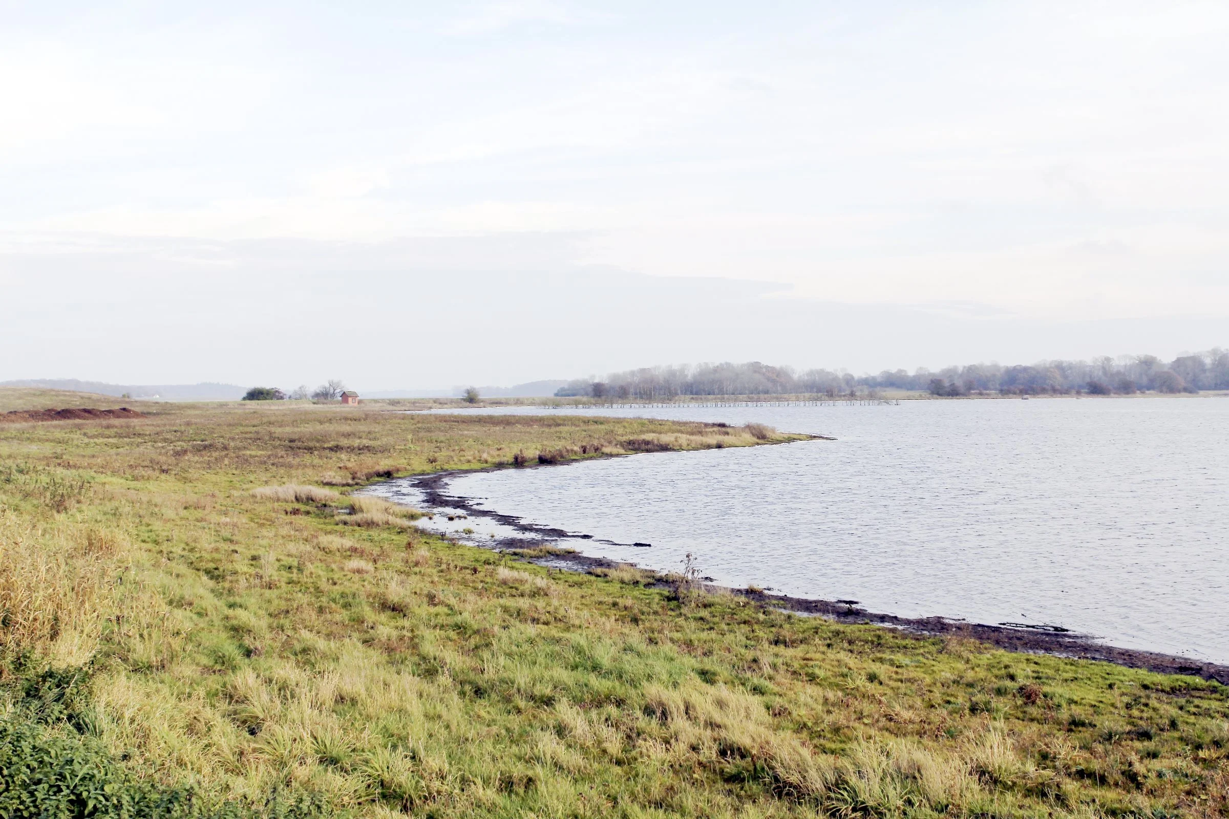 Når man vådlægger lavbundsjord, risikerer man at frigive fosfor, der kan påvirke vandmiljøet negativt. Foto: Arkivfoto