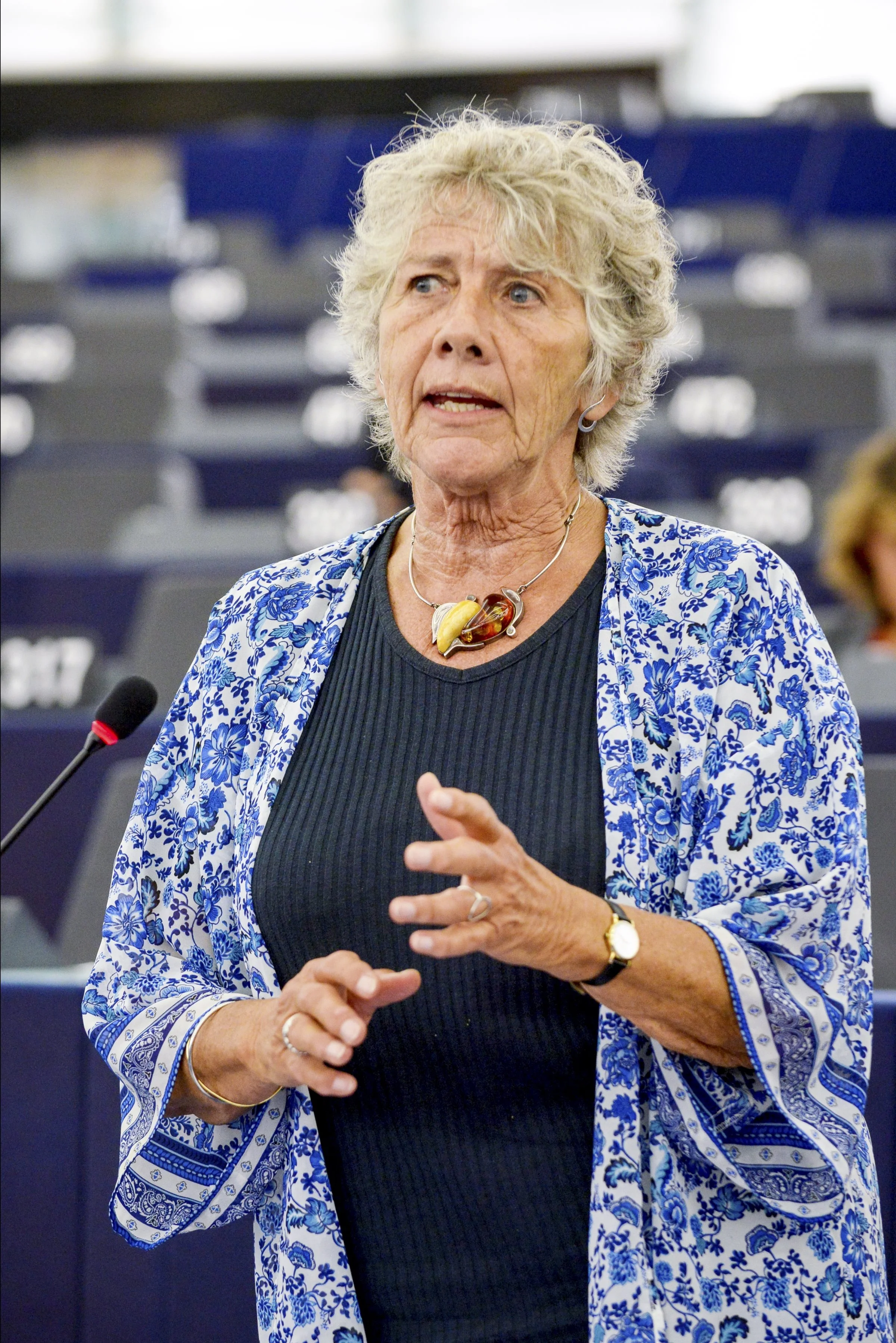 EU-parlamentariker Margrete Auken (SF) mener, at EU-Kommissionen sylter miljøsagerne, og hun stiller sig tvivlende over for, om Agerskovgruppen får held med sit foretagende. Arkivfoto