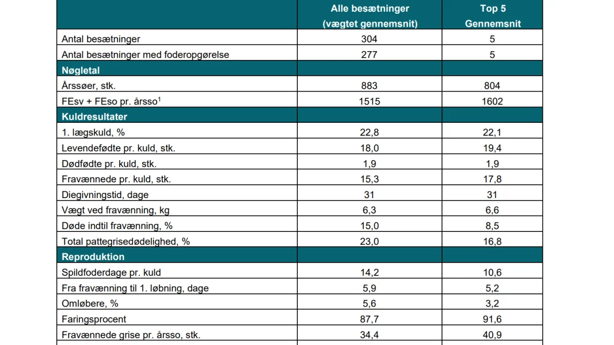 En ny brancheanalyse viser, at produktiviteten i DanBred-besætninger var på niveau med Landsgennemsnittet for produktivitet. Kilde: Seges Gris, notat nummer 2135