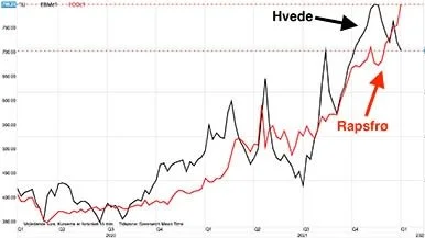 MATIF-hvede vs. rapsfrø i euro/ton

Prisen for europæisk rapsfrø og hvede er stor i rapsens favør. Men det kommer ikke til at vedblive. Rapsprisen på ikke mindst gammel høst-terminer virker alt for høj i forhold til hvedeprisen og samtidig også til prisen for rapsfrø på ny høst.
