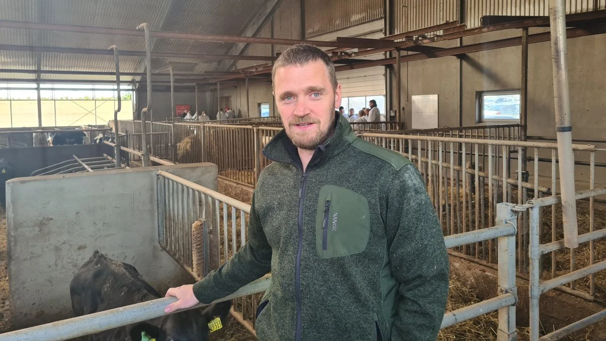 - Forklaringen på den flotte notering på kalvekød, vi har nu, er, at vi faktisk har et produkt, som mange forbrugere sætter stor pris på – på trods af diskussionerne om klimabelastning og så videre, siger Rasmus Alstrup, formand for Danske Slagtekalveproducenter. Arkivfoto

