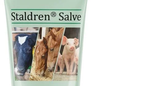 - Vi har taget de gode desinficerende egenskaber fra vores velkendte produkt Staldren og lavet til en salve, forklarer salgschef Jamil Al-Shiekhly.