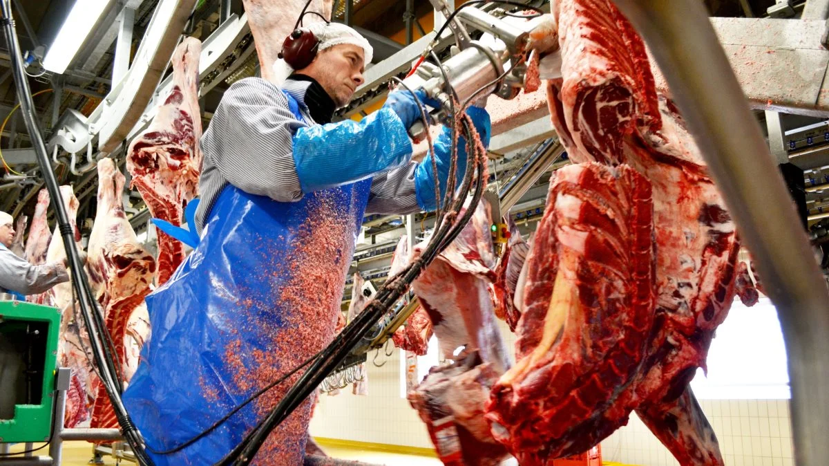 Den markant forøgede efterspørgsel på hakkekød i januar samt den foregående tids gunstige markedssituation betyder, at Danish Crown fastholder den nuværende, høje afregning trods usikkerheder i markedet. 