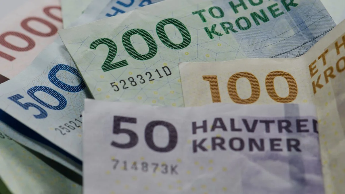 Klimakreditter kan lune økonomisk lige nu og her, men det kan ende med at blive en dyr fornøjelse på længere sigt, lyder det fra klimarådgiver. 