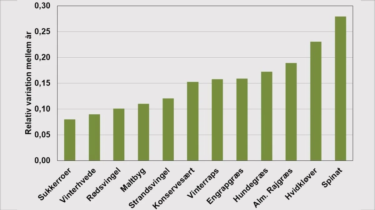 Tabellen viser den relative variation i afgrøder over en periode på 10 år. Det fremgår, at sukkerroer er den afgrøde, som har det mest stabile udbytte. Data fra DLS’ kalkuler.