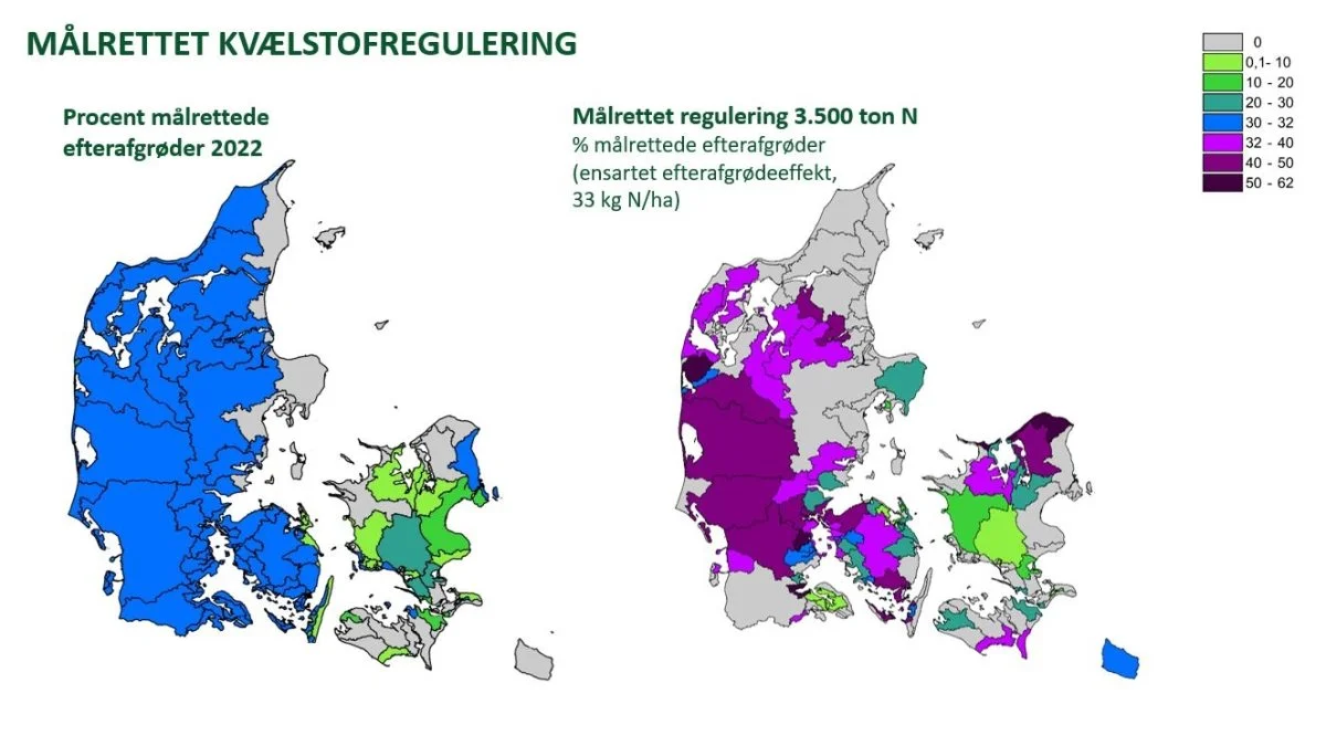 Kortet til venstre viser den eksisterende geografiske fordeling af efterafgrøderne, mens kortet til højre viser den forventede fordeling i fremtiden som følge af de nye vandområdeplaner. Kilde: Seges 