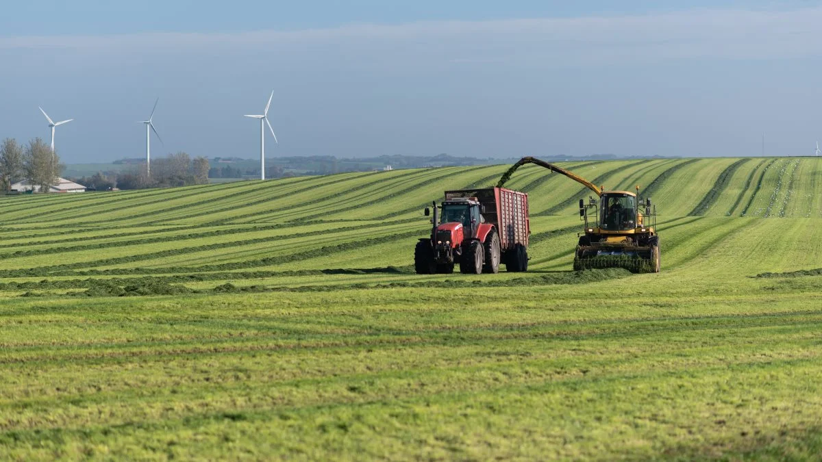 Norlys Vækstpulje har bevilget sit hidtil største beløb. Støtten går til Klimafonden Skives projekt om bæredygtig omstilling af landbruget ved Limfjorden. Foto: Thomas Koeser