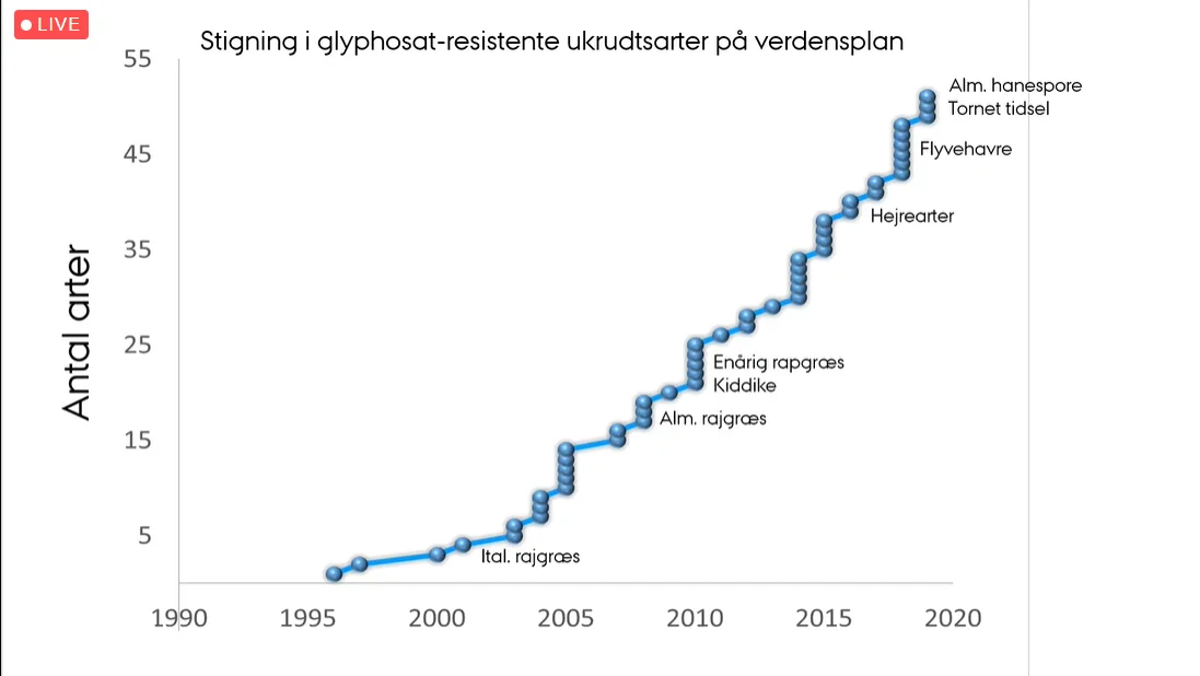 Der bliver stadig flere og flere ukrudtsarter, som udvikler resistens overfor glyphosat - dog primært i udlandet, hvor man sprøjter regelmæssigt og meget med glyphosat.