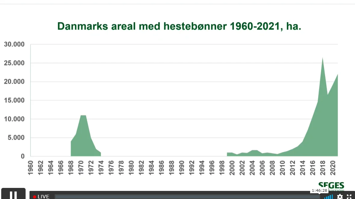 Dårlige erfaringer med hestebønner tilbage omkring 1970 hænger stadig over afgrøden. Alligevel forventes her i 2022 rekordmange arealer med hestebønner.  Kilde: Seges