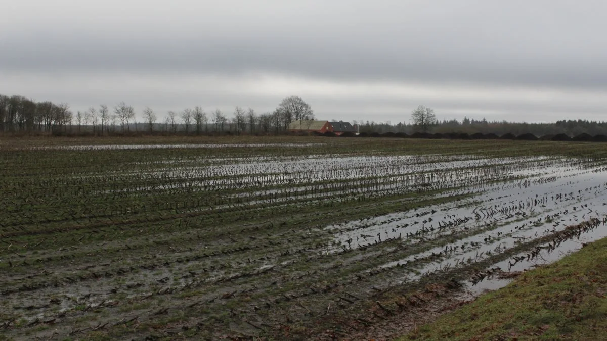 Meget nedbør i februar-marts på lokaliteterne med kold svær jord betyder, at hvis man venter med gylleudbringning og forårspløjning til jorden er tjenlig, bliver forårssåningen forsinket i en grad, så der er reel risiko for udbyttetab. Arkivfoto