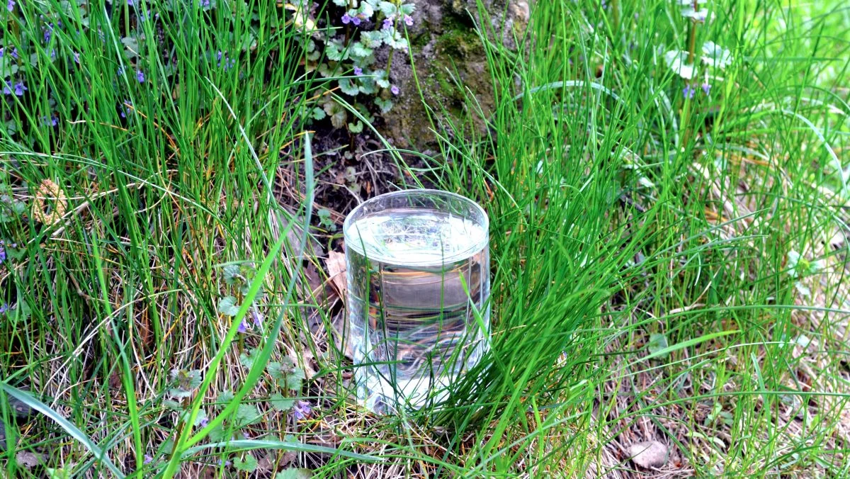 Der er typisk tale om en punktkildeforurening, når der er tale om koncentrationer over 1 µg pr. liter, siger Søren Rygaard Lenschow, seniorrådgiver i Niras.