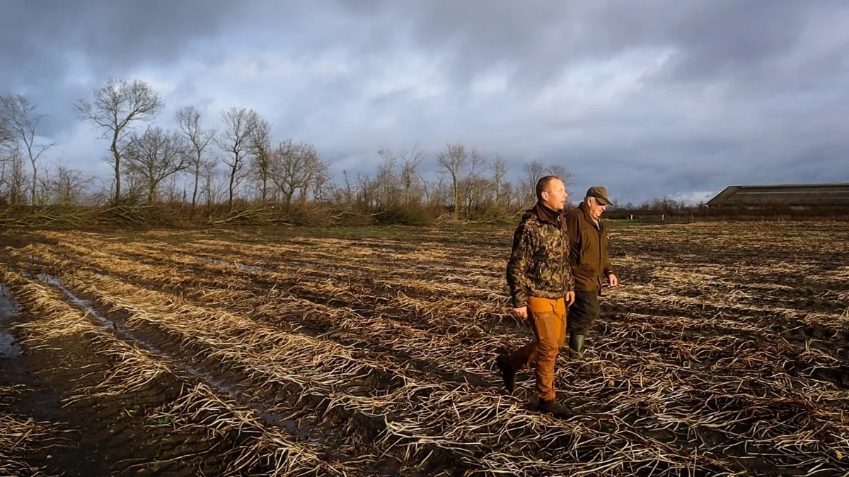 Skovfoged ved HedeDanmark Mikkel Møller Kristensen og landmand Hans Østergaard inspicerer læhegn på en ejendom ved Grindsted. Foto: HedeDanmark.