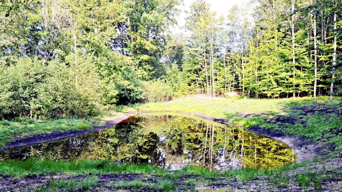 Interessen for at komme ud i naturen er stigende. Landbrug & Fødevarer oplever stor velvilje fra lodsejere, i forhold til at tillade adgang på private arealer. Arkivfoto