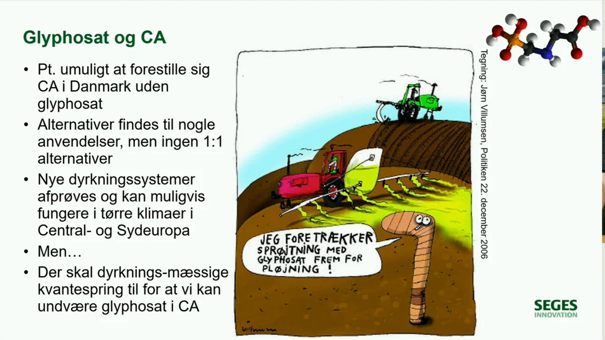 Conservation agriculture vil ikke kunne praktiseres uden glyphosat, lyder konklusionen fra Seges.