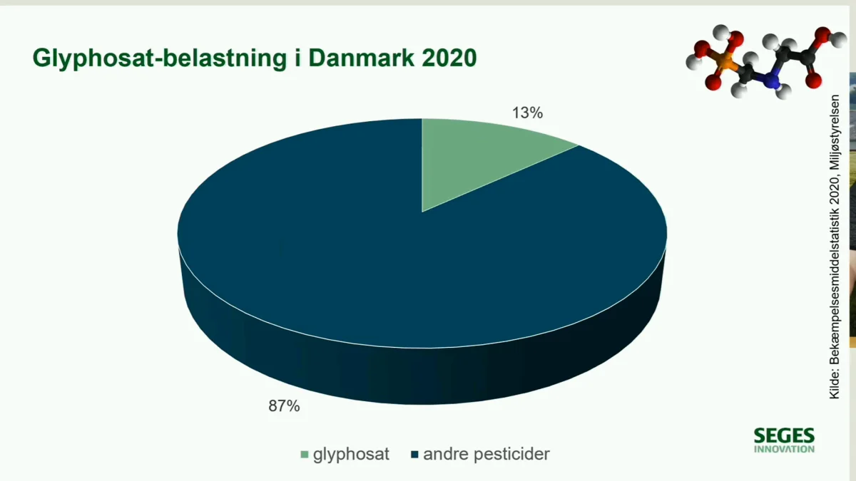 Belastningen fra det totale glyphosat-forbrug i Danmark udgør kun 13 procent af belastningen fra det totale pesticidforbrug selv om glyphosat mængdemæssigt udgør næsten halvdelen af alt solgt pesticid i Danmark. Kilde: Seges