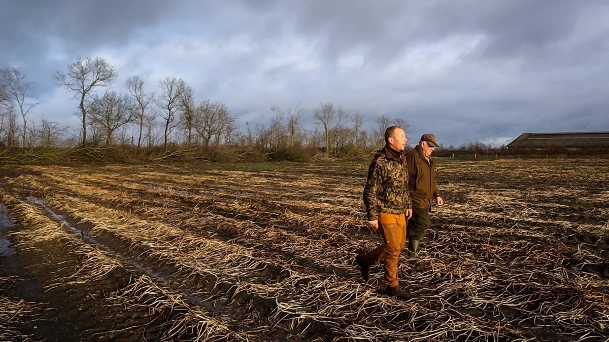 Skovfoged ved HedeDanmark Mikkel Møller Kristensen og landmand Hans Østergaard inspicerer læhegn på en ejendom ved Grindsted. Foto: HedeDanmark.
