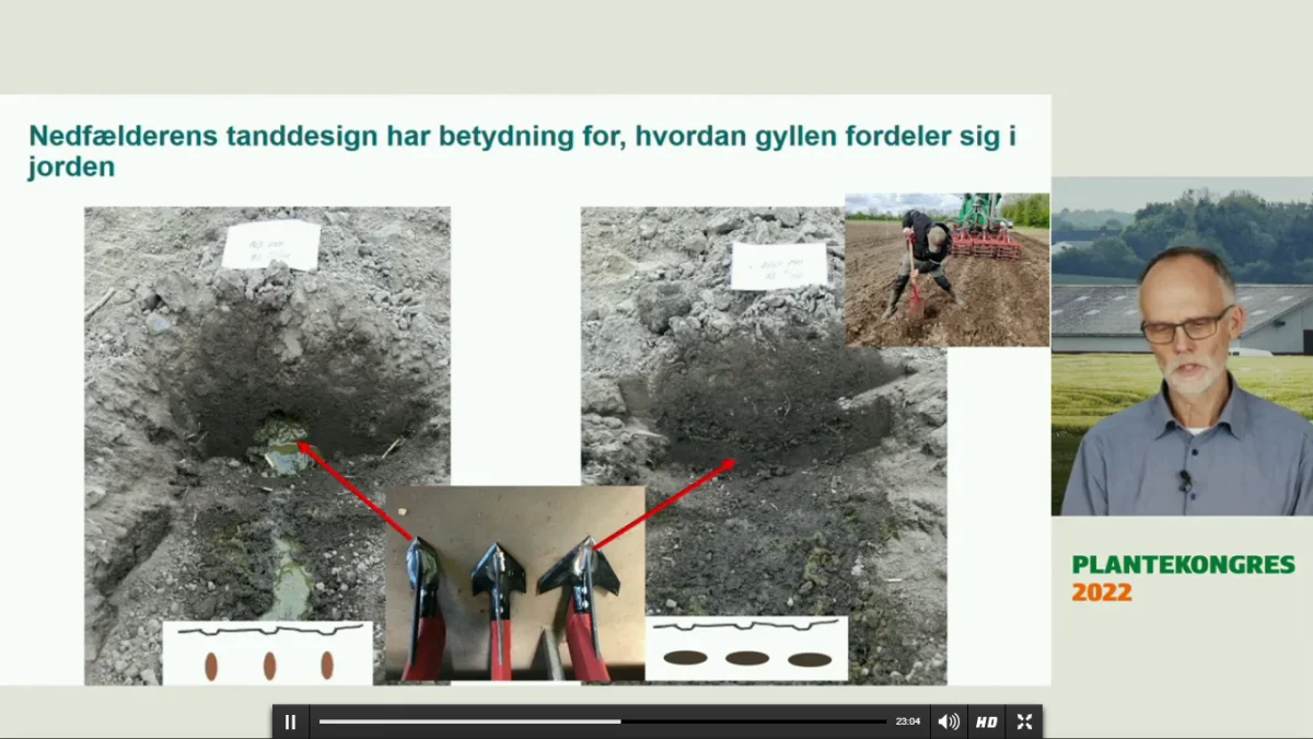 Landskonsulent Martin Nørregaard Hansen fremviste forsøg med forskellige udformninger af nedfældertanden forud for majssåning på et webinar ved Plantekongressen i denne uge. Kilde: Seges