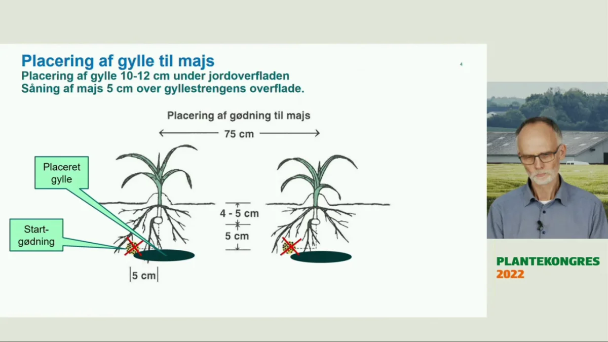 Her ses på en figur, hvordan gyllen placeres 10 centimeter under jordoverfladen i et ellipseformet tværsnit, som er gunstigere for plantens rodudvikling, end hvis den var placeret som en kompakt, cirkulær pølse. 