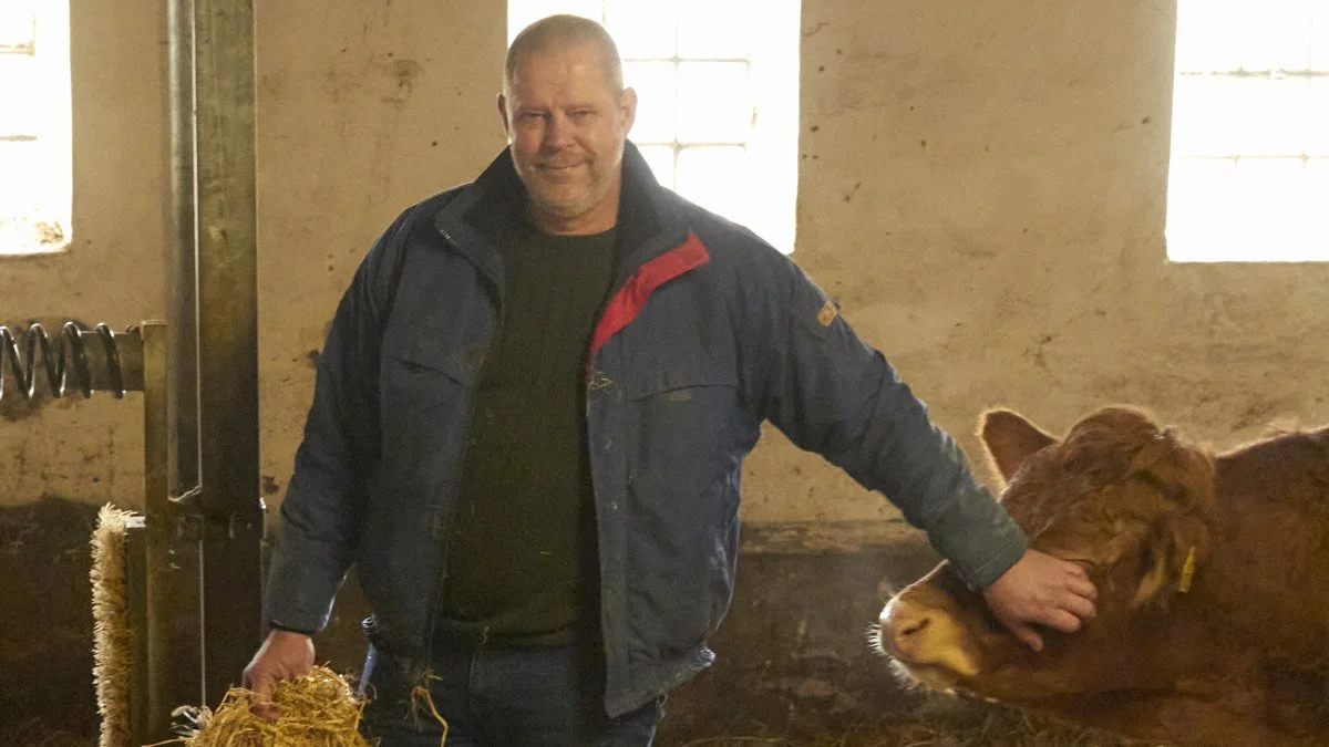 Ulrik Gotfredsen viser lørdag den 5. februar sine limousinedyr frem til et åbent hus arrangement i Midtjylland. Fotos: Tenna Bang