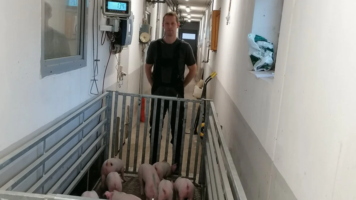 - Det gør arbejdet ekstra spændende, og det øger motivationen hos medarbejderne, at vi går og måler på noget – vejer grisene, følger mælkeforbruget og ændrer lidt på nogle procedurer.