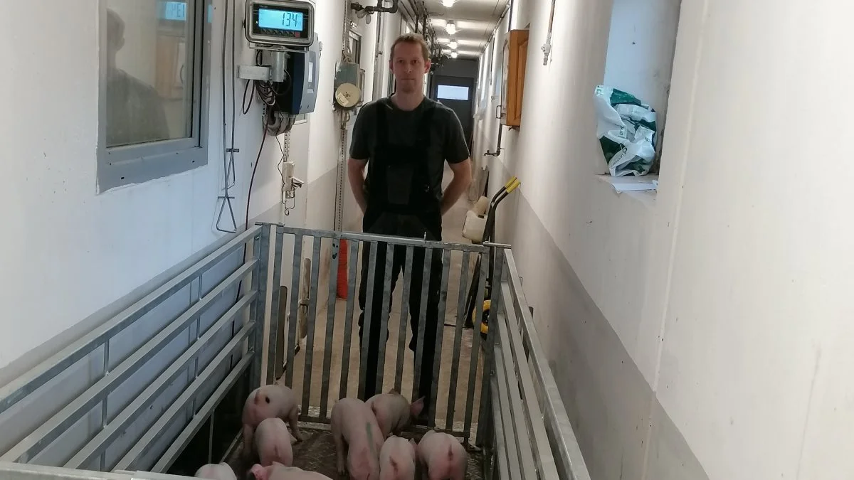 - Det øger motivationen hos medarbejderne, at vi går og måler på noget – vejer grisene, følger mælkeforbruget og ændrer lidt på nogle procedurer, fortæller Søren Hansen.