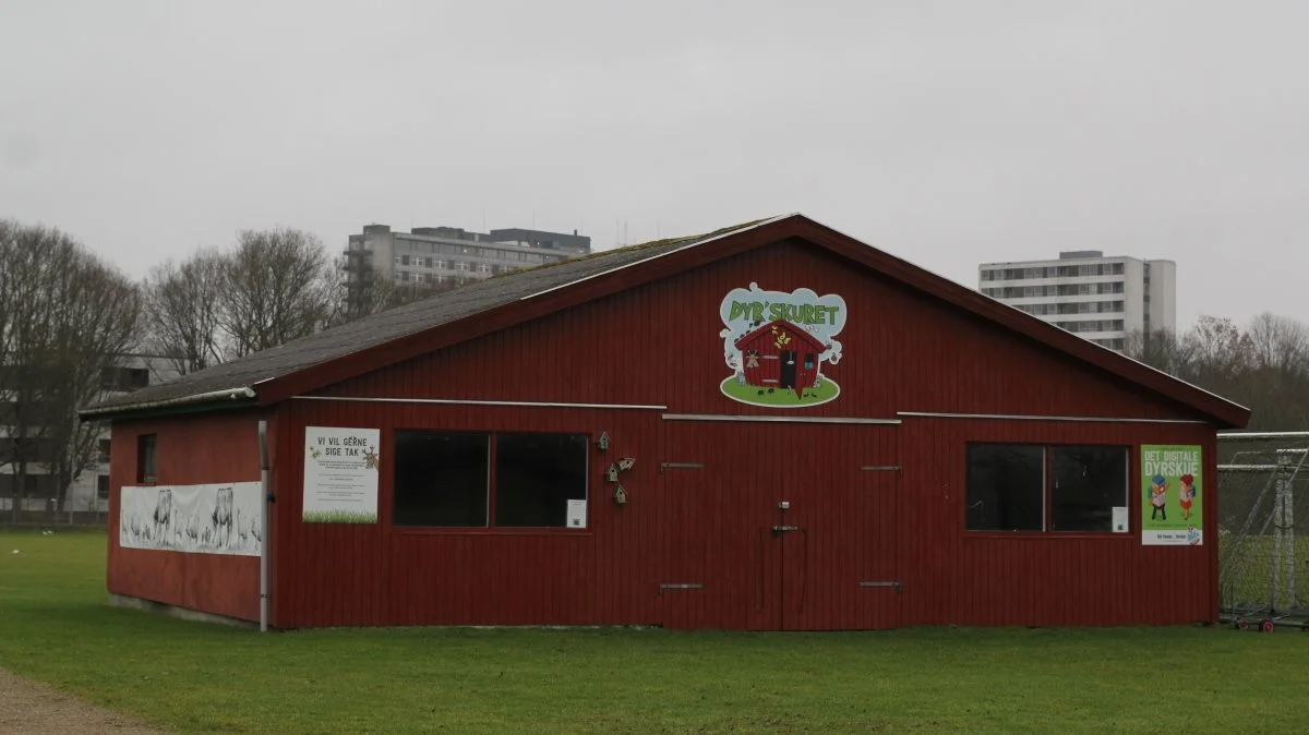 Børn indlagt på OUH, der skimtes i baggrunden, får gratis adgang til Det Fynske Dyrskue sammen med deres familier. Forinden har de - ligesom øvrige skoler og børnehaver - haft mulighed for at forberede sig gennem læringsmateriale, for at få mest muligt ud af besøget.