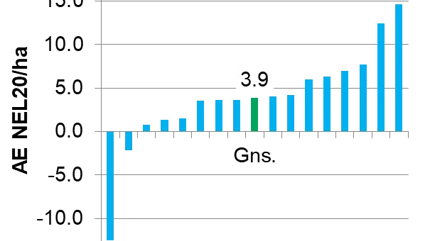 Merudbytte målt i afgrødeenheder til køer (1 AE=100 FE) ved tilsætning af 500 g/ha nitrapyrin (N-lock) til gylle i 16 landsforsøg i helsædsmajs i perioden 2014-2017. I de 14 forsøg var der et merudbytte. I gennemsnit blev målt en gevinst på 390 FE NEL20/ha. Kilde: Corteva