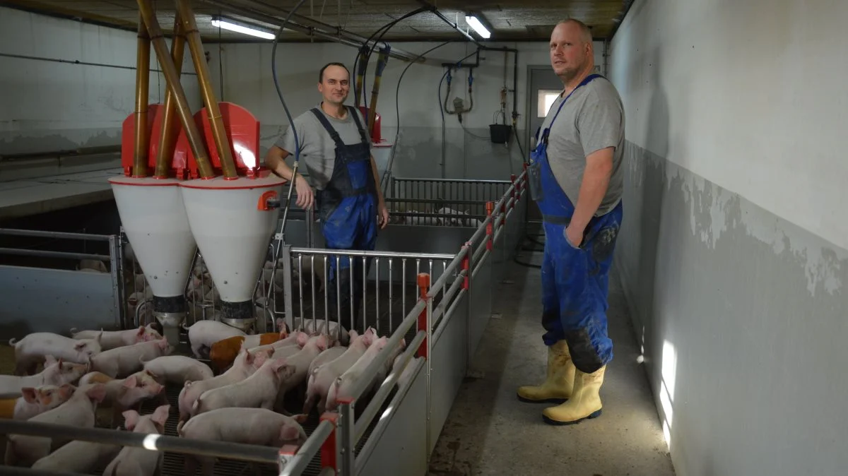 Skæringsdagen for udfasning af zink i soholdet på Henrikshøj blev den 1. maj 2021. En ændring der, ifølge Lars Østerholm (tv) og Carsten Brædder, ikke har krævet andet end lidt dyrere foder i fravænningsfasen. Fotos: Camilla Bønløkke