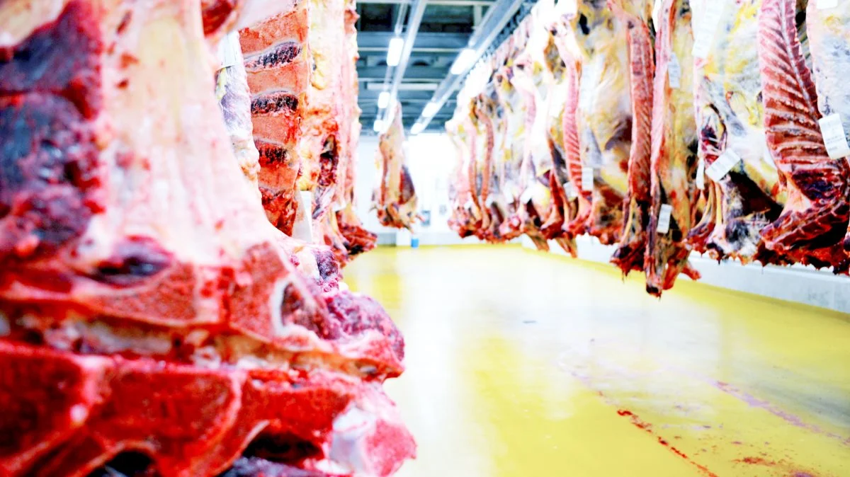 Kreaturnoteringen hos Danish Crown Beef står stille.