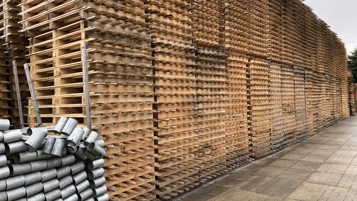 Paller til pakning af de færdige økologiske juletræer fra Global Nature Trees.
