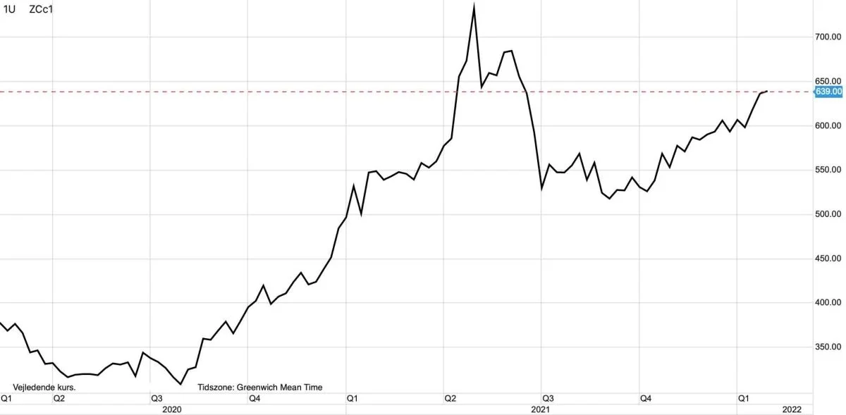 Ugegraf: CBOT Majs i US-cent pr. bushel
Majsprisen begynder at vise stærke takter igen og spekulanterne er atter begyndt at købe op i kornfutures.
