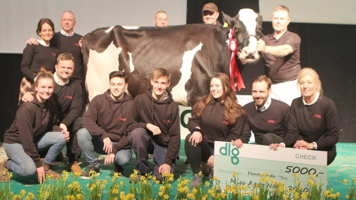 Den 9. marts skal Miss Agro Nord endelig findes igen. Her ses vinderen fra 2020, familien fra Anderstrup Holstein ved Skørping, som vandt med deres Mikosh-datter, der også blev bedste ældre Holsteinko og vandt »bedste yver« på tværs af racer. Arkivfoto: Tenna Bang