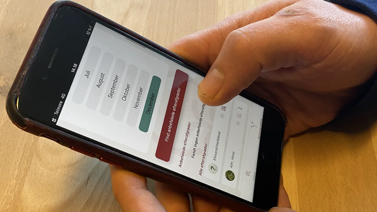 Innovationscenter for Økologisk Landbrug forventer at udkomme med en app i slutningen af 2022. Den nye app skal blandt andet fungere som et opslagsværk over mulige efterafgrøder. Foto: Innovationscenter for Økologisk Landbrug