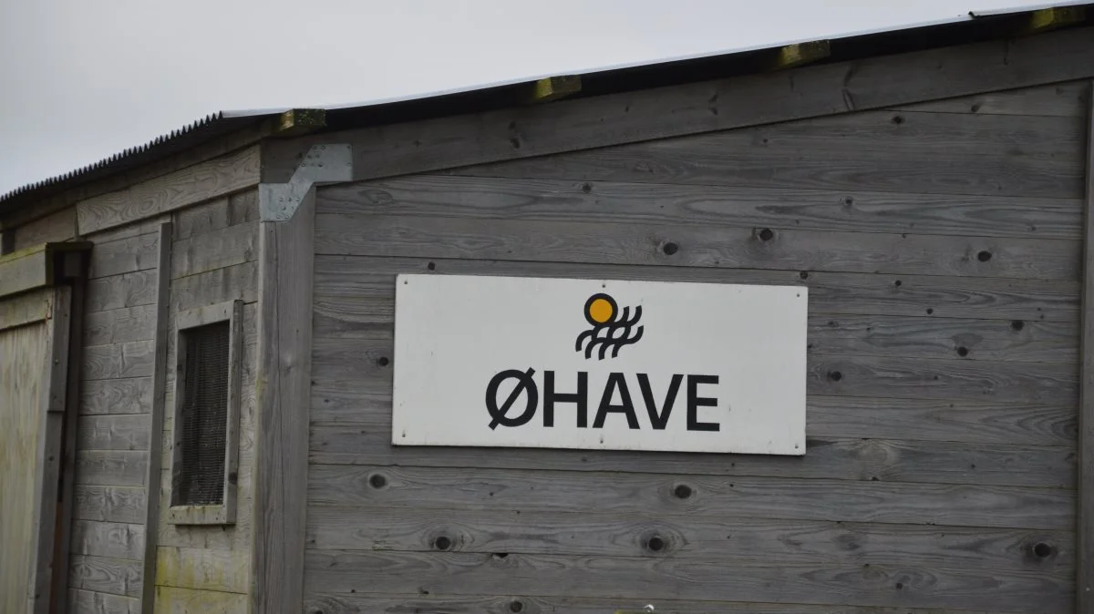 Øhave er navnet på den økologisk drevede virksomhed, der holder til på én hektar lejet jord på den sydlige del af Tåsinge. 