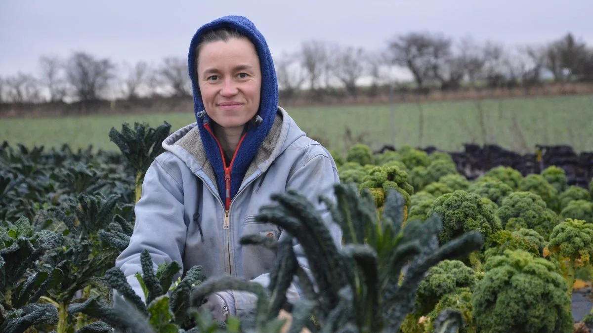 - Jeg føler det lidt, som om det bare er en køkkenhave, når jeg går rundt herude, lyder det fra Katrine Bach Hansen, der her ses blandt kålplanter i et af Øhaves 28 store bede. Fotos: Camilla Bønløkke