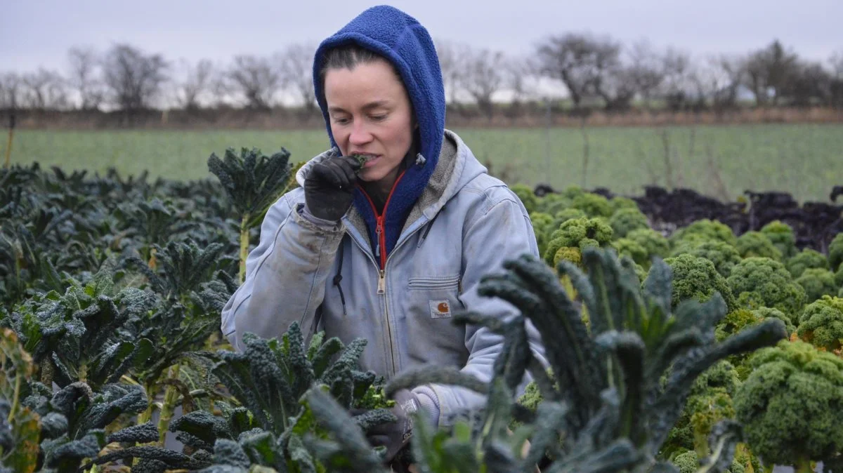 33-årige Katrine Bach Hansen tager nu hul på femte sæson med økologisk grøntsagsproduktion på det stykke jord, som hun siden 2018 har lejet på Tåsinge. Foto: Camilla Bønløkke